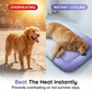 🐾 50% OFF NOW! ❄️ Pet Cooling Mat for Dogs & Cats – Breathable & washable – Ice-silk fabric, perfect for floors, sofas or car travel – multiple sizes & gradient colours 🐶🐱✨
