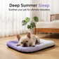🐾 50% OFF NOW! ❄️ Pet Cooling Mat for Dogs & Cats – Breathable & washable – Ice-silk fabric, perfect for floors, sofas or car travel – multiple sizes & gradient colours 🐶🐱✨