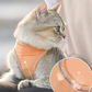 👕 50% OFF NOW! 🔥 One Piece Vest Leash – Adjustable & breathable mesh – No-pull design, comfortable padding – perfect for small to medium dogs 🐕