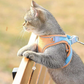 👕 50% OFF NOW! 🔥 One Piece Vest Leash – Adjustable & breathable mesh – No-pull design, comfortable padding – perfect for small to medium dogs 🐕