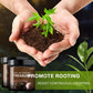 🌱 BUY 2 GET 1 FREE! 🎉 Soil Activated Treasure – Boosts Growth, Nutrient Rich & Easy to Use 🚜