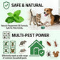🏠 BUY 2 GET 1 FREE! 🛡️ All‑Pest Repellent – Safe for pets & wildlife – No poisons, just effective – use indoors & out for peace of mind 🐾✅