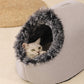 🛏️ 50% OFF HOT SALE! ✨ Pet Cozy Warm Cave Bed - Ultra-Soft Plush Igloo Design with Breathable Warmth for Cats & Small Dogs 🐾💤
