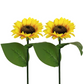🌻 50% OFF NOW! ✨ Sunflower Solar Lights – Glowing Petals, Auto On/Off & Perfect for Garden & Pathway Decor 🌿