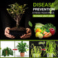 🌱 BUY 2 GET 1 FREE! 🎉 Soil Activated Treasure – Boosts Growth, Nutrient Rich & Easy to Use 🚜