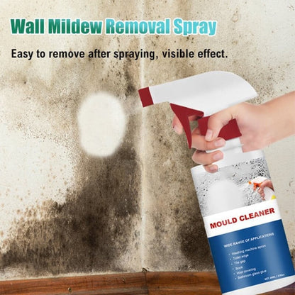 🧼 BUY 5 GET 5 FREE! ✨ Mould & Mildew Removing Foam Spray – Instant Action, Deep Penetration & Prevents Regrowth 🚿