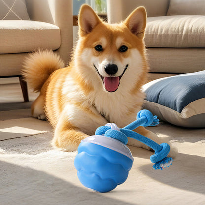 📢 50% OFF NOW! 🎅 Interactive Electronic Pet Toy Ball – Soothing Motion, Chew-Resistant & Auto Stimulation for Cats/Dogs 🐾✨📦