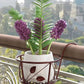 🌼 BUY 2 GET 1 FREE! ✨ Hanging Flower Stand - Multi-Tier Design for Balcony/Garden, Durable & Space-Saving with Easy Installation 🌸🏠