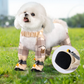 🐕 50% OFF NOW! 🏞️ Outdoor Dust-Proof Dog Pants - Protective & Breathable for Adventures, Easy to Clean and Adjustable Fit 🌟📦