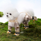🐕 50% OFF NOW! 🏞️ Outdoor Dust-Proof Dog Pants - Protective & Breathable for Adventures, Easy to Clean and Adjustable Fit 🌟📦