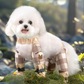🐕 50% OFF NOW! 🏞️ Outdoor Dust-Proof Dog Pants - Protective & Breathable for Adventures, Easy to Clean and Adjustable Fit 🌟📦
