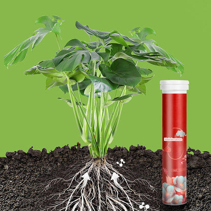 🌿 BUY 2 GET 1 FREE! ✨ All-Purpose Slow-Release Tablet Fertilizer - Balanced Nutrients for Flowers, Vegetables & Potted Plants with 3-Month Feeding 🌱🌸