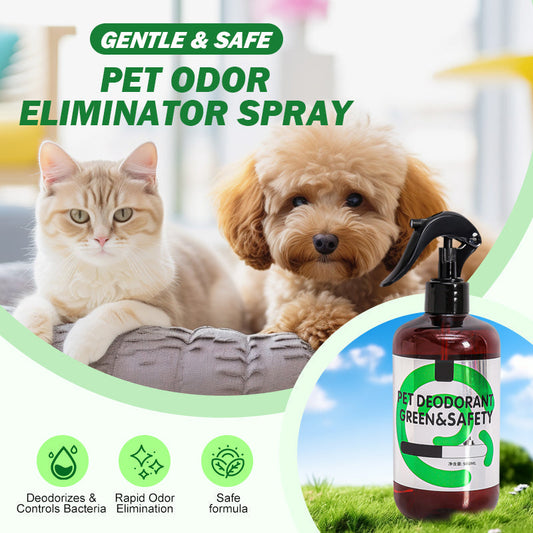 🐾 BUY 1 GET 1 FREE! 🌿 PET ODOR ELIMINATOR - Enzyme-Powered Stain & Odor Removal, Vet-Recommended Formula for Urine and Messes, Safe for All Surfaces 🏠✨