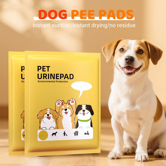🐾 BUY 2 GET 1 FREE! 🎉 Super Absorbent Dog Pee Pads – Leak-proof & quick-dry – Perfect for training, seniors or travel – reliable and mess-free 🐶✨🌿