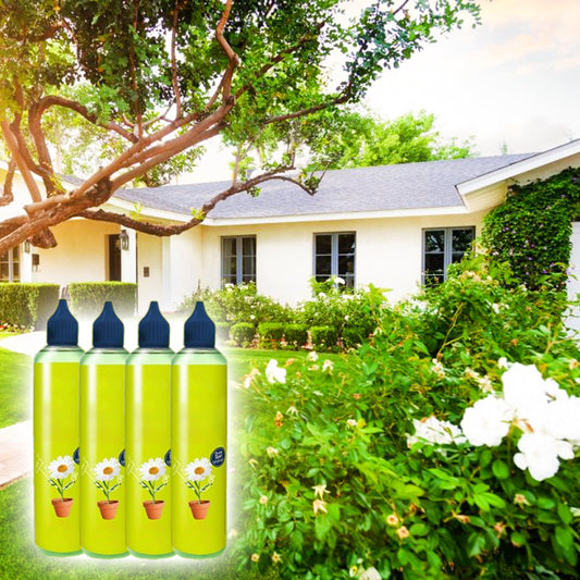 🌱 BUY 2 GET 1 FREE! 🏡 All-Purpose Plant Food – for Indoor & Outdoor, Easy to Use & Fast Visible Results ✨