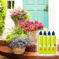 🌱 BUY 2 GET 1 FREE! 🏡 All-Purpose Plant Food – for Indoor & Outdoor, Easy to Use & Fast Visible Results ✨