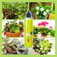 🌱 BUY 2 GET 1 FREE! 🏡 All-Purpose Plant Food – for Indoor & Outdoor, Easy to Use & Fast Visible Results ✨