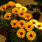 🌻 50% OFF NOW! ⏰ Solar Sunflower Outdoor Decor – Realistic, IP65 & weatherproof – Automatic on/off – perfect for garden, patio or balcony ☀️🌿✨🏡