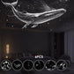 🌌 50% OFF NOW! 🔥 2-in-1 Starry Sky Projector & Night Light – Rotating, remote-controlled & perfect for bedroom ambiance ✨