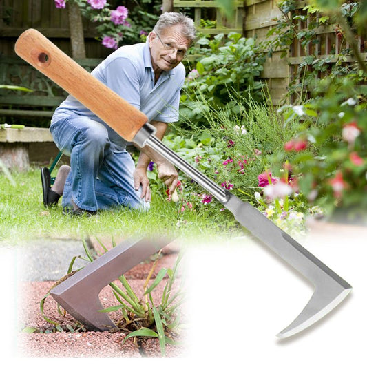 🌿 BUY 3 GET 1 FREE! 🔧 Multipurpose Crevice Weeding Tool – Stainless Steel, Ergonomic Grip & Perfect for Garden Maintenance 🧤