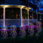 🌈 BUY 3 GET 1 FREE! ✨ Solar Garden Lights Outdoor Decor – 100 LEDs, IP55 Waterproof & Easy Install – Auto on/off, energy-saving & perfect for patios, yards or pathways 🌙
