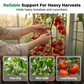 🧷 50% OFF NOW! ⚡ 100 PCS Quick-Lock Plant Support Clips – Sturdy & reusable – Easy install, perfect for vines, tomatoes or garden training – strong hold without damage 🌱✨