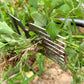 🌿 50% OFF NOW! 🧑‍🌾 Manual Weed Remover Tool – Ergonomic handle, durable steel & deep-root removal – Keeps lawns & gardens weed-free effortlessly ✨