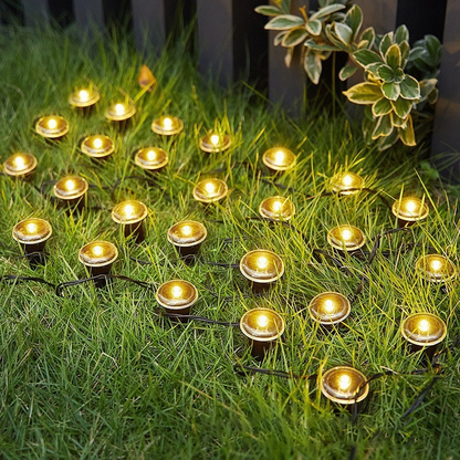 💡 50% OFF NOW! ☀️ Solar Powered Garden Pathway Lights – Auto On/Off, Weatherproof & Perfect for Walkways & Yard Decoration 🏡