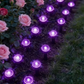 💡 50% OFF NOW! ☀️ Solar Powered Garden Pathway Lights – Auto On/Off, Weatherproof & Perfect for Walkways & Yard Decoration 🏡