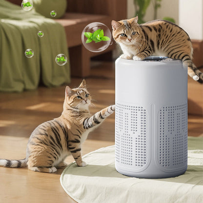🌬️ 50% OFF NOW! 🔥 Compact Home Air Purifier – 2026 Bestseller – Quiet, energy-efficient & perfect for allergies, dust & pet hair 🏠