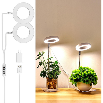 💡 50% OFF NOW! 🌱 LED Angel Ring Plant Grow Light – Full Spectrum, Energy-Efficient & Perfect for Indoor Plants Year-Round 🌿