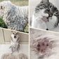 🔥 BUY 2 GET 1 FREE! 🐕 Double Sided Pet Grooming Brush – Stainless steel & anti-slip grip – Removes loose fur & tangles – perfect for cats and dogs 🐈