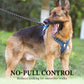 🐶 Save 50%! 🦺 No-Pull Dog Harness – With leash, collar & LED ✨