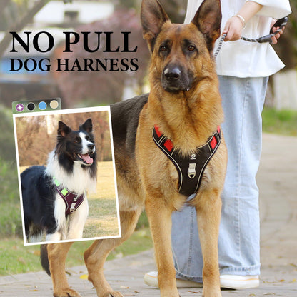 🐶 Save 50%! 🦺 No-Pull Dog Harness – With leash, collar & LED ✨