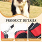 🐶 Save 50%! 🦺 No-Pull Dog Harness – With leash, collar & LED ✨