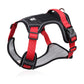 🐶 Save 50%! 🦺 No-Pull Dog Harness – With leash, collar & LED ✨