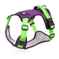 🐶 Save 50%! 🦺 No-Pull Dog Harness – With leash, collar & LED ✨