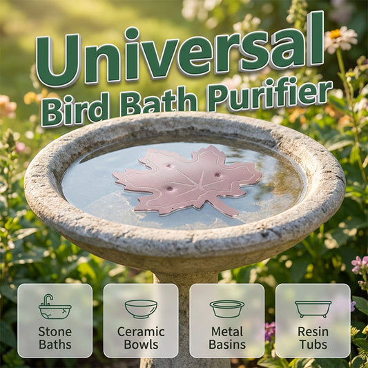 🐦 50% OFF NOW! 💧 Universal Fit Bird Bath Purifier – Cleans naturally, reduces algae & keeps water fresh for birds 🕊️
