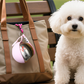 🐕 50% OFF NOW! 💧 2-in-1 Portable Dog Water Bottle – Leak-proof, compact & travel-friendly – Keep your small dog hydrated on walks 🐾