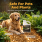 🪨 BUY 2 GET 1 FREE! 🌿 Mulch & Gravel Anchor Glue for Landscaping – Weather-resistant, locks materials in place & prevents washing away – perfect for gardens, driveways or decorative rock beds 🏡
