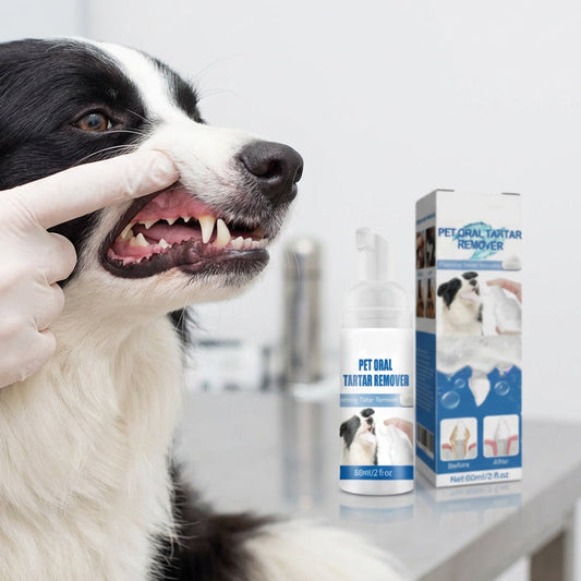 🐕 50% OFF NOW! ⏰ Pet Oral Care Foaming Tartar Remover – No brushing needed – Removes plaque & freshens breath – safe for dogs & cats, easy to use ✨🐱