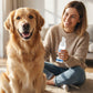 🐕 50% OFF NOW! ⏰ Pet Oral Care Foaming Tartar Remover – No brushing needed – Removes plaque & freshens breath – safe for dogs & cats, easy to use ✨🐱