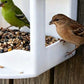 🐦 50% OFF NOW! 🌿 Hanging House Bird Feeder for Outdoor Gardens – Weather-resistant & easy refill – Clear window to see seeds, perfect for attracting wild birds – decorative and functional 🏡