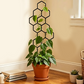 🌱 BUY 2, GET 1 FREE! ⏰ Creative Honeycomb Metal Plant Support Stakes – Rust-proof & stackable – Perfect for climbing plants, pots or garden beds – easy assembly, no tools needed 🐝