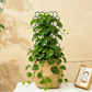 🌱 BUY 2, GET 1 FREE! ⏰ Creative Honeycomb Metal Plant Support Stakes – Rust-proof & stackable – Perfect for climbing plants, pots or garden beds – easy assembly, no tools needed 🐝
