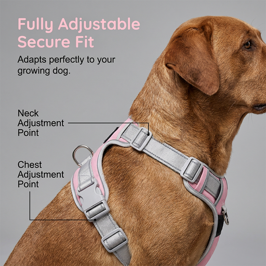 🐕 50% OFF NOW! ⏰ No-Pull Dog Harness – Adjustable straps & padded chest – Reflective edges, easy on/off – perfect for daily walks or training sessions 🦮