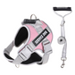 🐕 50% OFF NOW! ⏰ No-Pull Dog Harness – Adjustable straps & padded chest – Reflective edges, easy on/off – perfect for daily walks or training sessions 🦮