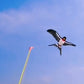 🪁 50% OFF NOW! 🎣 Handheld Fishing Rod Kite Toy for Kids – Lightweight, colorful & easy to fly – Perfect for outdoor fun & family playtime 🌤️