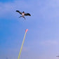 🪁 50% OFF NOW! 🎣 Handheld Fishing Rod Kite Toy for Kids – Lightweight, colorful & easy to fly – Perfect for outdoor fun & family playtime 🌤️