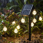 💡 50% OFF NOW! ☀️ Waterproof Bubble Solar String Lights for Patio – 10 LEDs, auto-on & energy-saving – Perfect for garden, balcony or parties – warm glow without wiring 🌿
